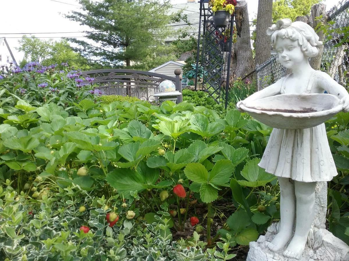 Hanover House Bed And Breakfast Niagara Falls Exterior foto